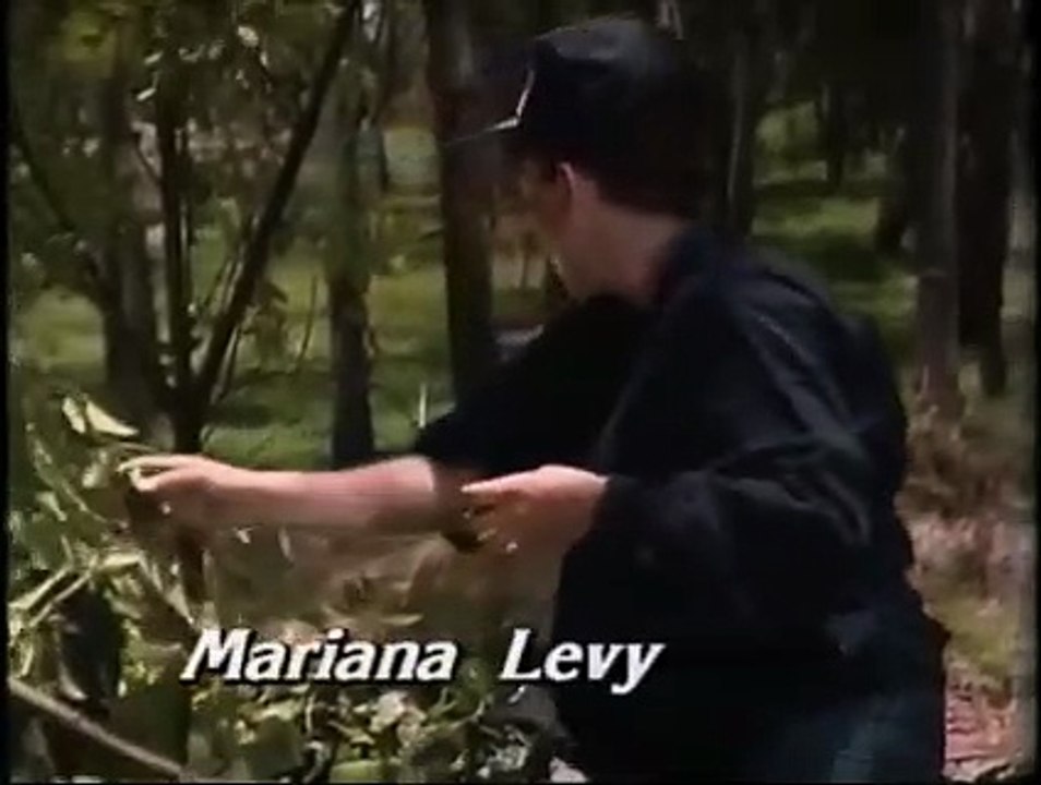 Rosa salvaje capitulo 30