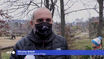 Diversão garantida no zoológico de Praga