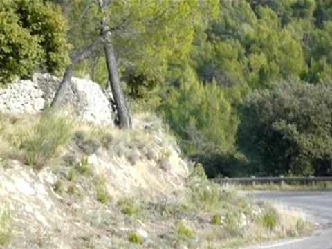 criterium 83 n49 2008