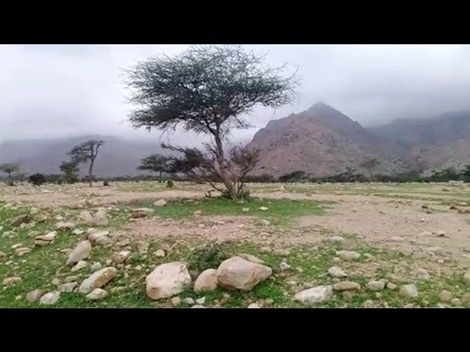 جبل علبة.. محمية يسكنها العبابدة والبشارية بالبحر الأحمر