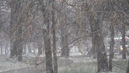 Chicago’s snow drought is officially over