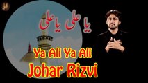 Ya Ali Ya Ali | Johar Rizvi | Noha | Labaik Labaik