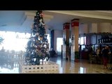 شجرة الكريسماس مخبوزة في فنادق الغردقة استعدادا لرأس السنة
