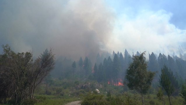 Wildfires tear through forests in Argentina