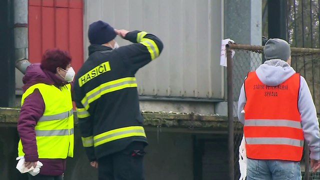 Μεγάλη επιδημία γρίπης των πτηνών στην Τσεχία