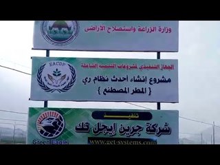 البحر الأحمر تشهد أول إنتاج مصري لـشاي المورينجا