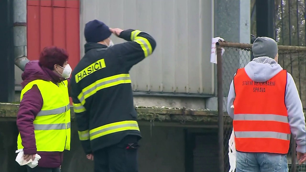 République tchèque, Slovénie, France : la grippe aviaire de retour en Europe