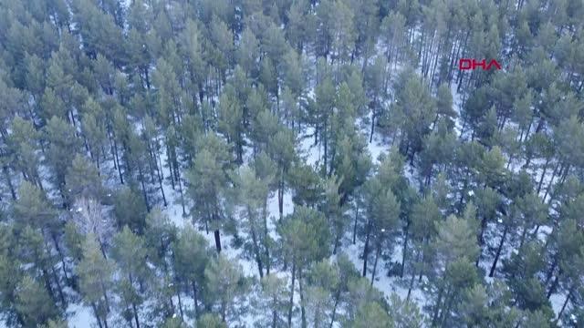 KÜTAHYA'DA 1826 RAKIMLI TÜRKMEN DAĞINA, YABAN HAYVANLARI İÇİN YEM BIRAKILDI