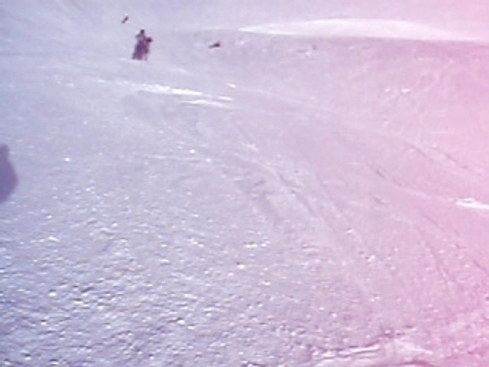 Alpe du Grand Serre 2008