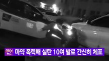 [YTN 실시간뉴스] 마약 폭력배 실탄 10여 발로 간신히 체포 / YTN