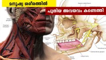 An Unknown Body Part Was Just Discovered in the Human Anatomy| Oneindia Malayalam