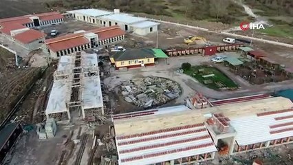 Yaralı sokak hayvanları bu merkezde tedavi edilecek