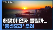 해맞이 명소 통제 제각각...'풍선효과' 우려 / YTN