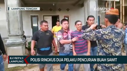 Video herunterladen: Detik-Detik Polisi Ringkus Dua Pelaku Pencurian Buah Sawit