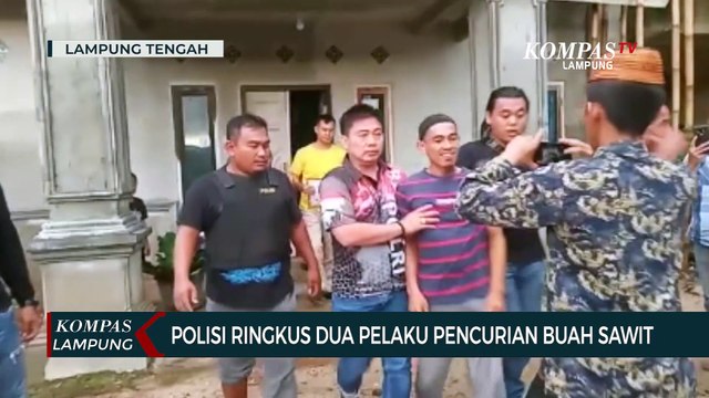 Detik-Detik Polisi Ringkus Dua Pelaku Pencurian Buah Sawit