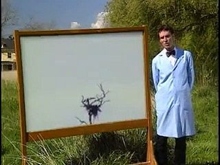 Bill Nye The Science Guy - S03E18 Birds
