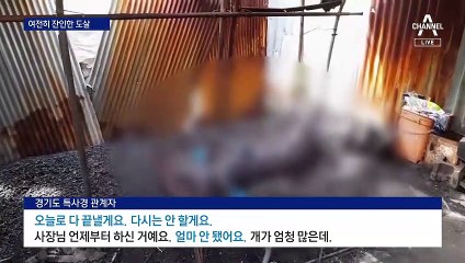 전기꼬챙이·화염방사기 잔인한 도살…처벌 강화해도 ‘허점’