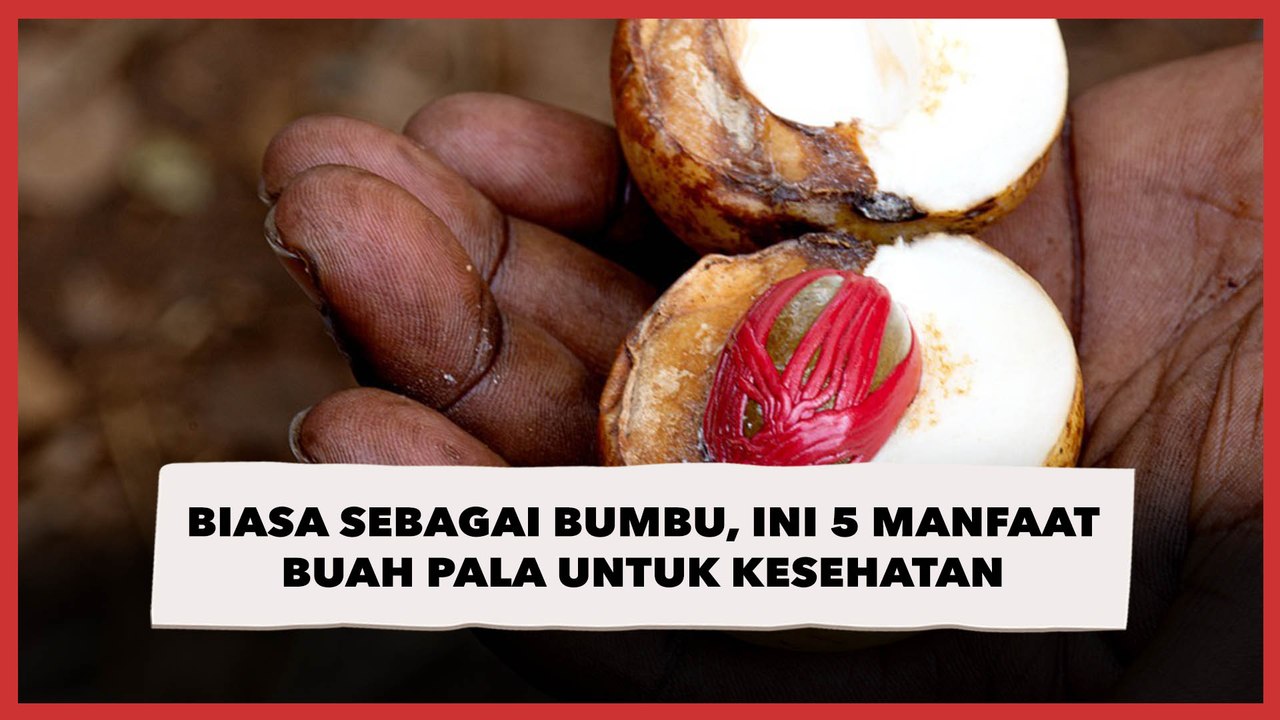 Biasa Digunakan Sebagai Bumbu, Ini 5 Manfaat Buah Pala untuk Kesehatan
