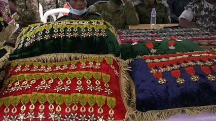 Défense : 1467 membres du personnel des forces armées décorés