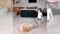 Küçük kızın köpeğiyle yaptığı spor dikkat çekti