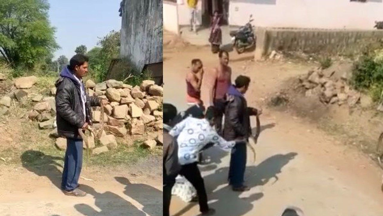 खतरनाक सांप से खेल रहा था युवक, हाथ पर डसने से हुई मौत, देखें वायरल वीडियो