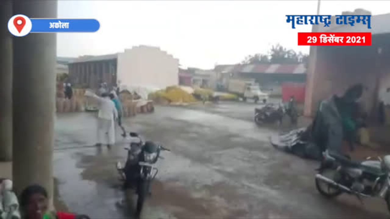 Akola : कृषी उत्पन्न बाजार समितीत विक्रीसाठी आणलेला माल पाण्याखाली