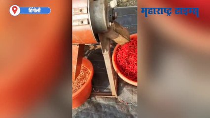 Hingoli :  विदेशी भाजीपाल्यातून महिन्याला लाखो कमावणारा तरुण शेतकरी