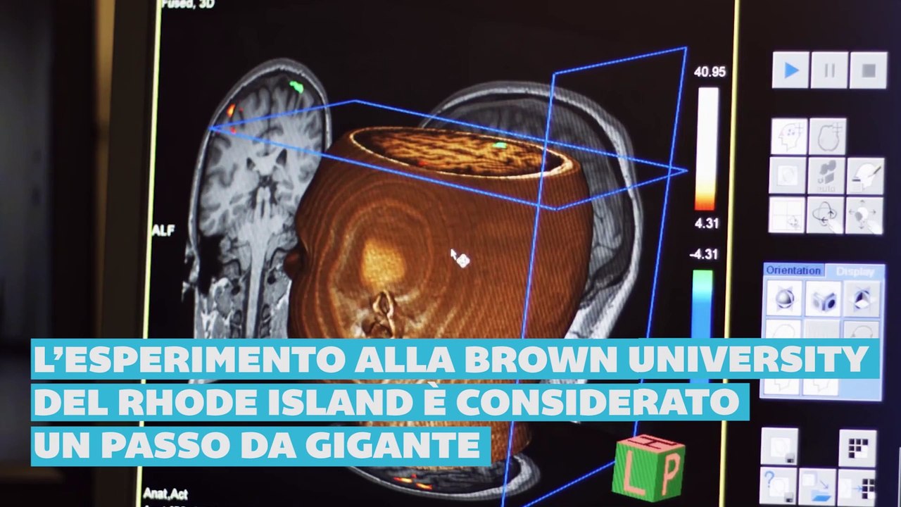 Sette buone notizie del 2021