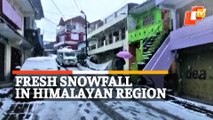 Watch: Munsiyari Turns Pearly White With Fresh Snowfall In Himalayan Region