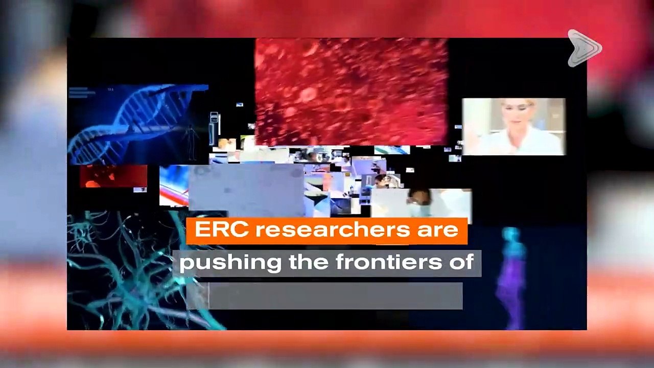 Animal Diaries - Season 10 Episode 12