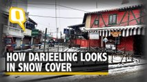 Watch: First Snowfall of the Season Paints Darjeeling White