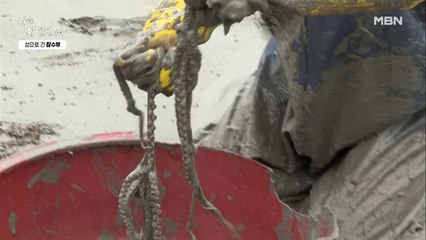 저절로 통발에 굴러들어온 낙지(?) 날로 얻은 저녁 재료