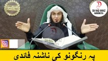 Sheikh Abu Hassan Ishaq Pashto Bayan | پہ رنگونو کی ناشنہ فائدی | Da Haq Awaz