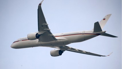 FEMME ACTUELLE - Airbus : pourquoi des poulets morts sont utilisés pour tester les avions ?