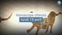 FEMME ACTUELLE - Horoscope chinois du jour, Coq de Feu, du lundi 19 avril 2021