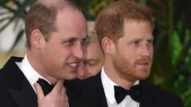 FEMME ACTUELLE - Harry et William au point de non-retour ? Cette conversation qui inquiète la famille royale