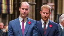 FEMME ACTUELLE - William et Harry en froid ? Les princes prêts à faire une trêve pour leur mère, Lady Diana