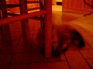 00096 c'est encore moi capucine