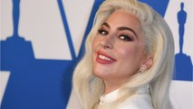 FEMME ACTUELLE - Lady GaGa a retrouvé ses deux chiens pour lesquels elle proposait une récompense hallucinante