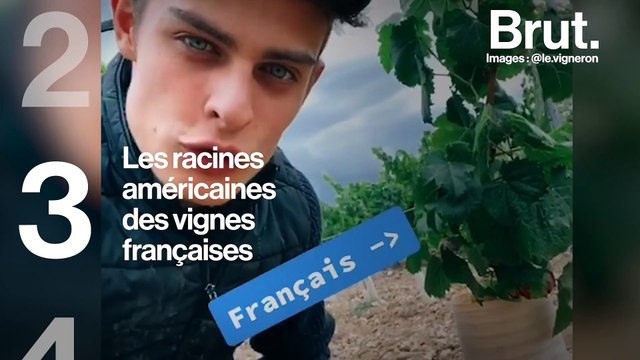 5 choses étonnantes à savoir sur le vin