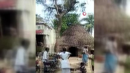 Covid-19 aşısı olmamak için ağaca tırmandı