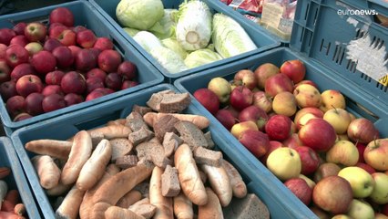 O Natal no Jardim Zoológico de Praga