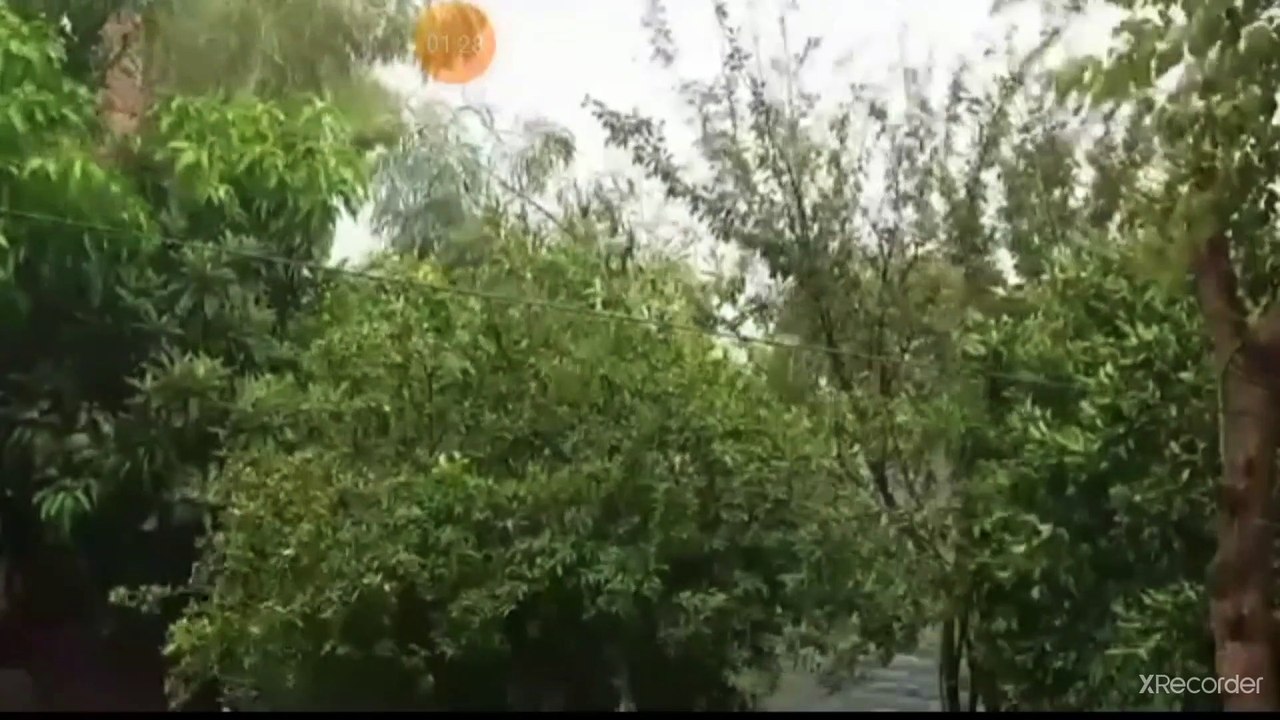 نقي قلبك قطوف من السنة الشريفة على صاحبها الصلاة والسلام