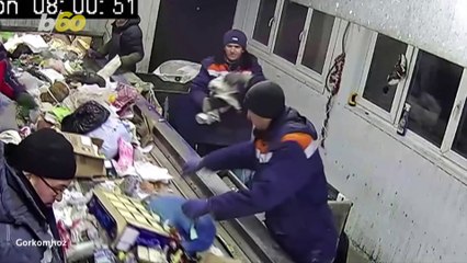 This Cat Is Lucky to be Alive After Being Trapped in a Garbage Facility