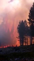 Incendios en la Patagonia fuera de control