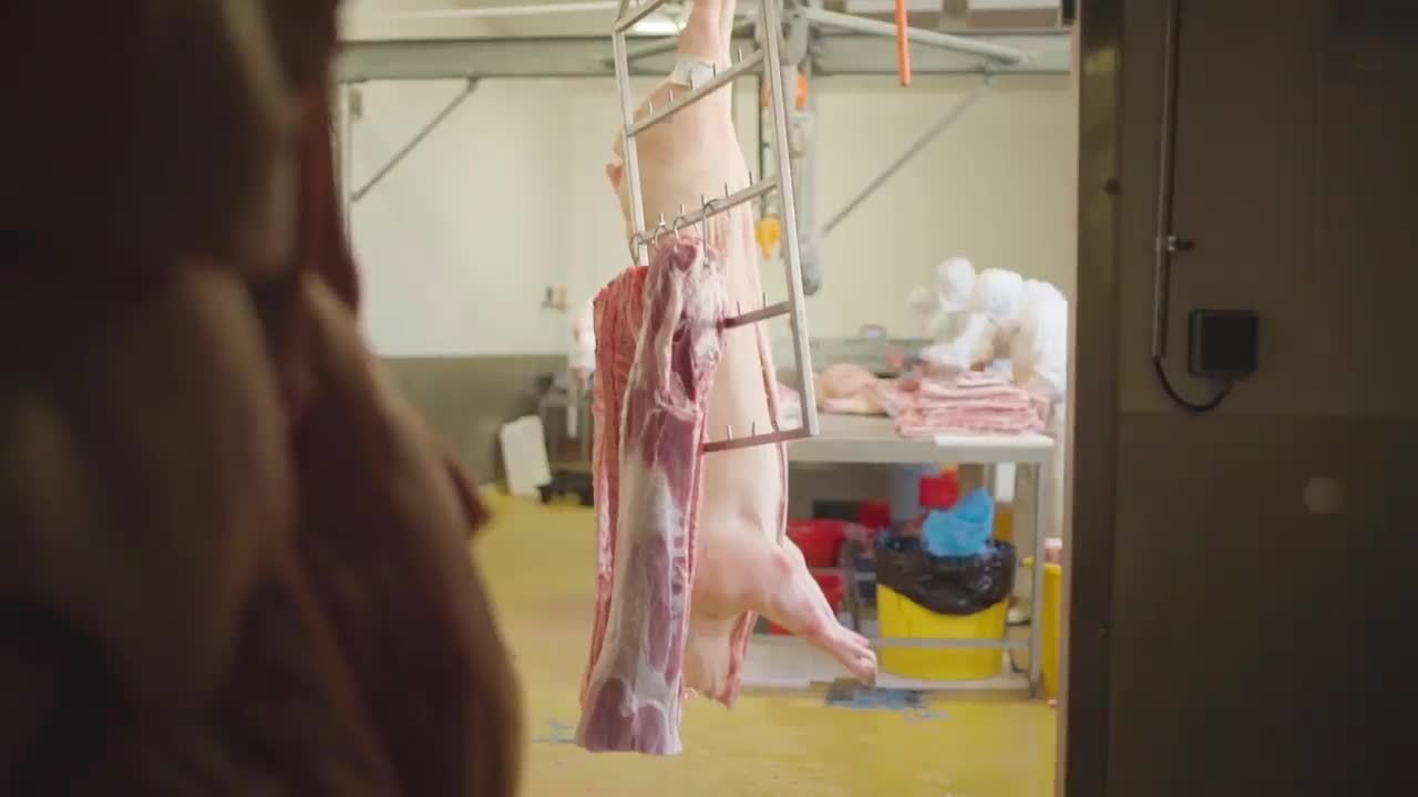 DES RÉGIONS À CROQUER : les rillettes, le teaser