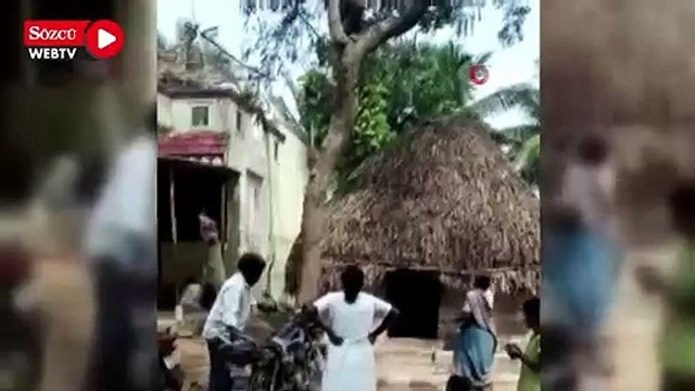 Covid-19 aşısı olmamak için ağaca tırmandı