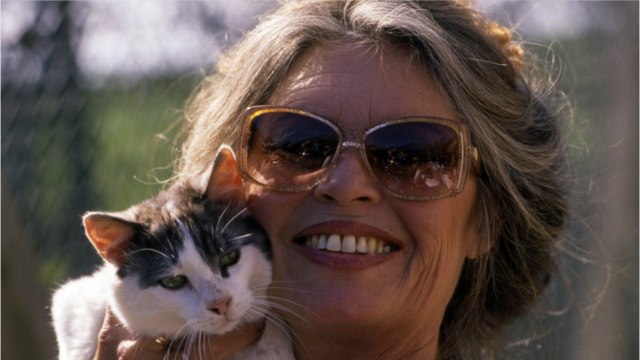 FEMME ACTUELLE - Brigitte Bardot : son coup de gueule contre Emmanuel Macron