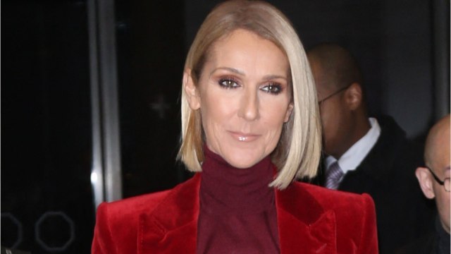 FEMME ACTUELLE - Céline Dion : cette grosse polémique autour de son manoir québécois (1)