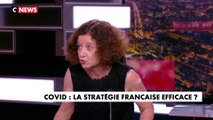 Elisabeth Levy : «Une épidémie, c'est une affaire collective»